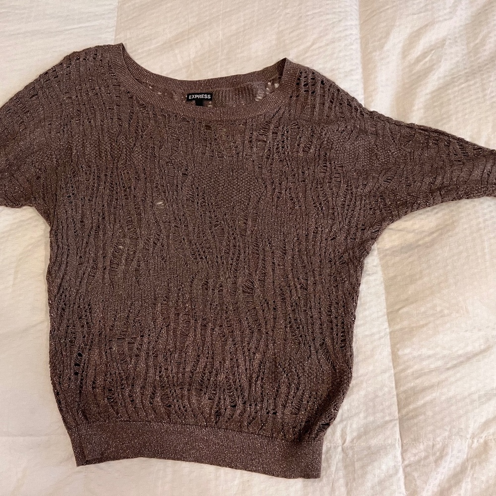 Express lightweight sweater